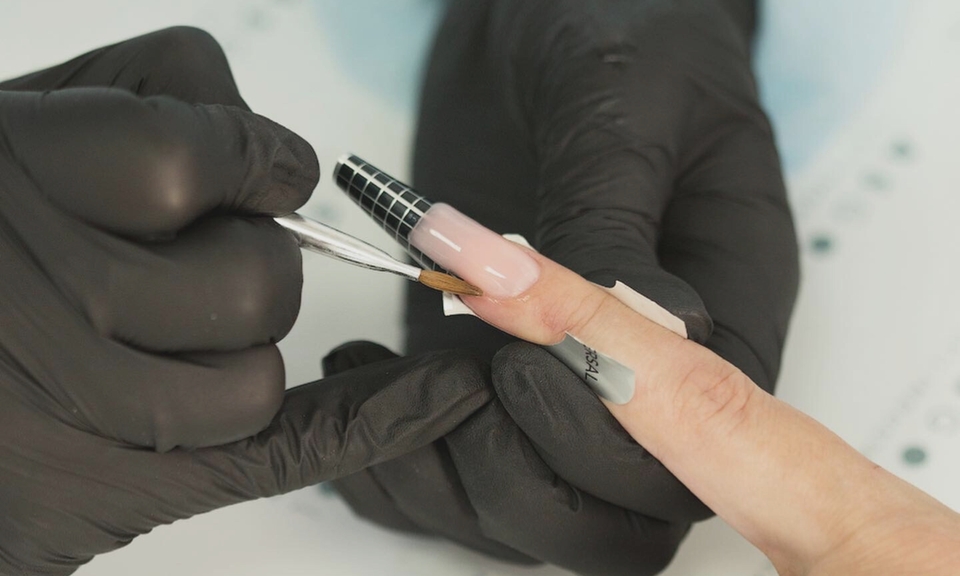 Курс «Моделирование полигелем в системе Polygel»